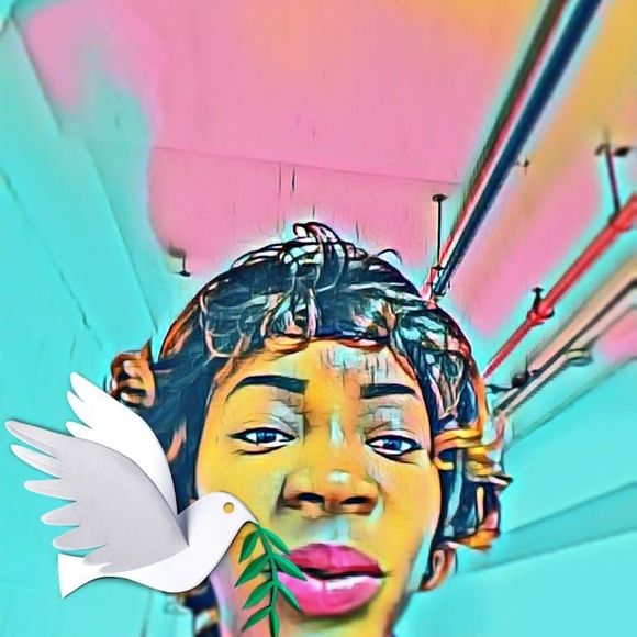 Meet your Posher, Benetta - Picture 1 of 1